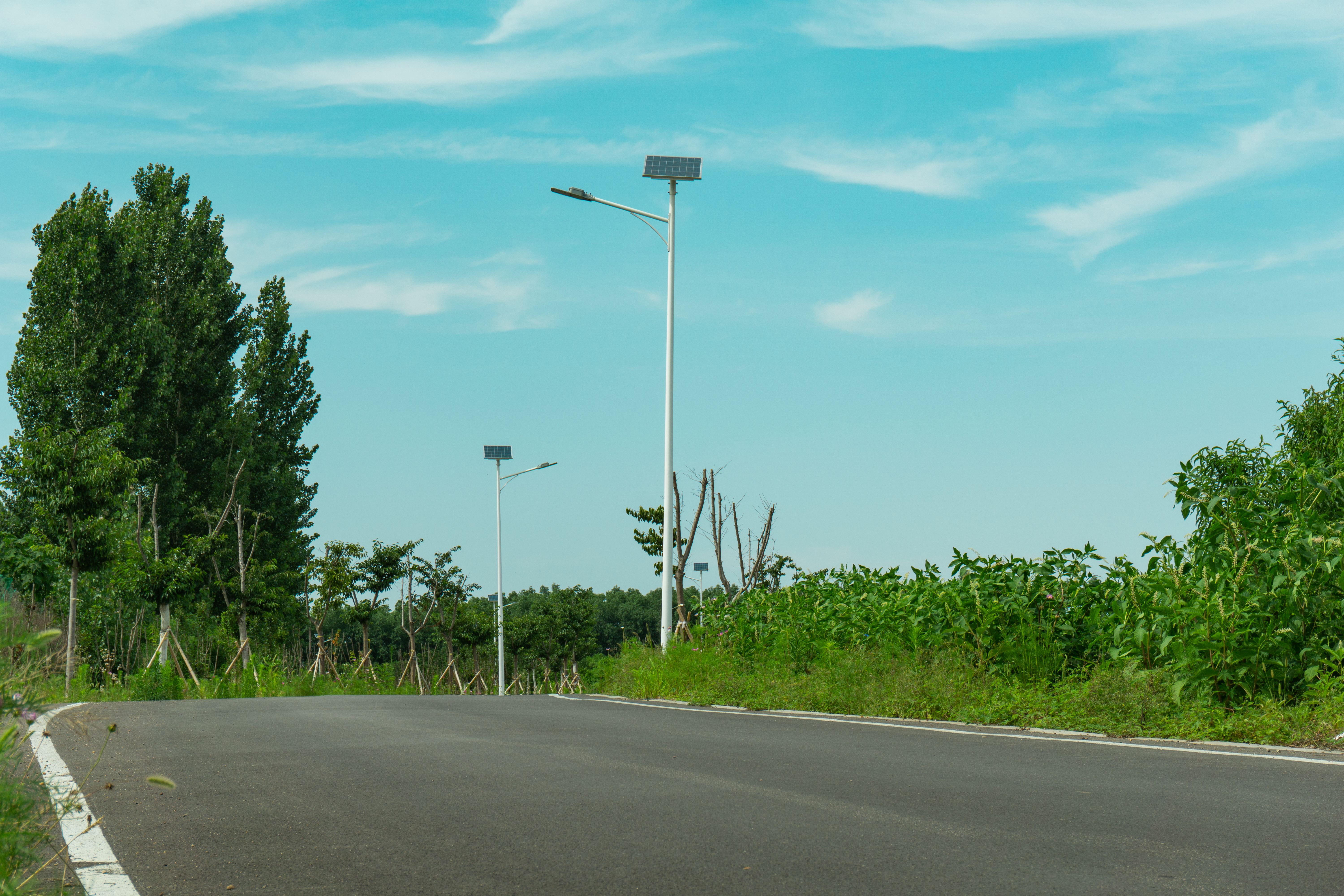 诸城人文地理,山东诸城有什么名胜