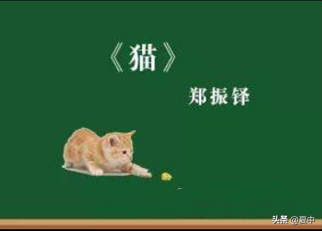 肖家芸个人资料,特级教师窦桂梅教学实录