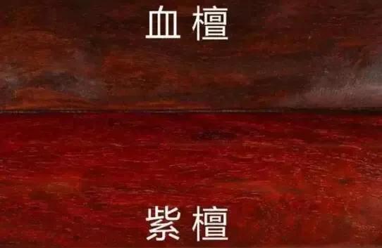 缅甸花梨和血檀家具哪个好,血檀家具值得藏吗