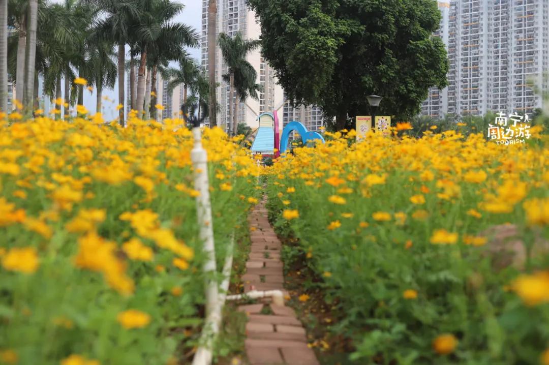 南宁花海公园在哪里,南宁嘉和城附近花海