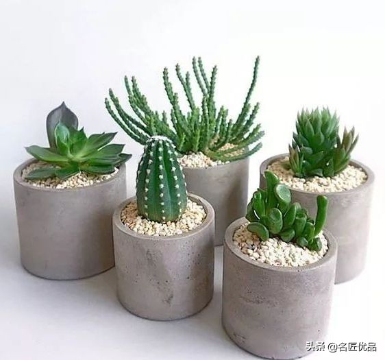 塑料旧手套,新买的手套被塑料和铁连在一起