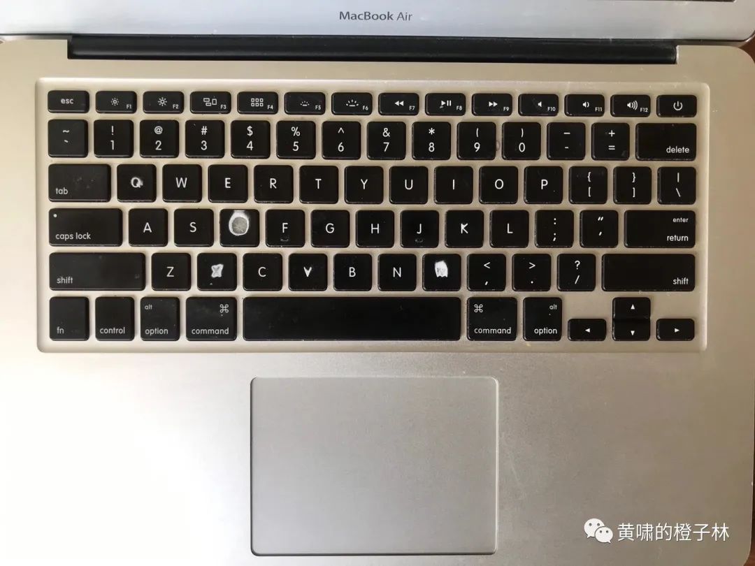 我在新西兰买卖人上身