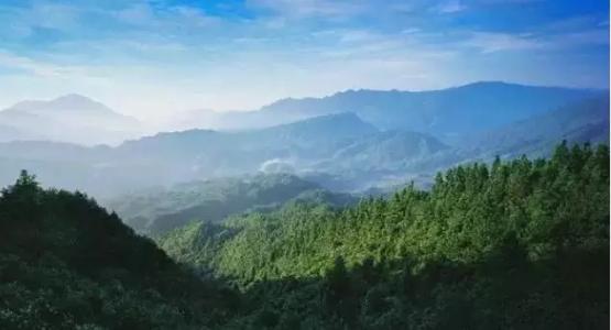 “益林贷”2.0版实施暂行办法