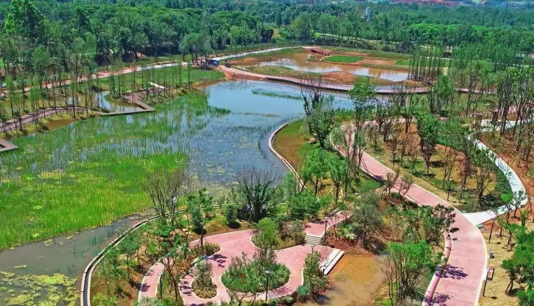 3月底天府绿道哪段最美,天府绿道介绍及特色