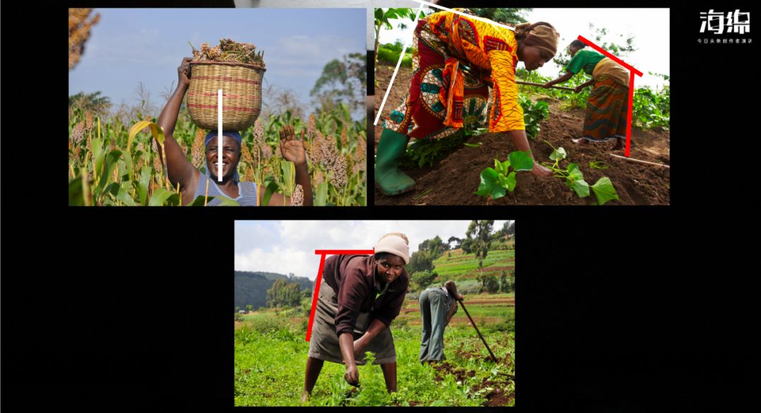 十五分钟就能拯救颈椎腰椎，很多人却不愿意做！