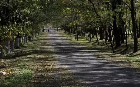 北京这38个森林公园您先收藏了!定个小目标,有空儿玩个遍!