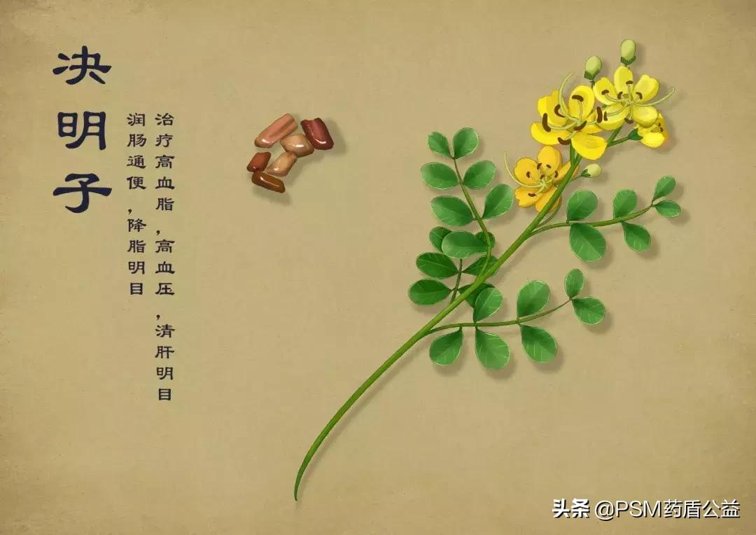 春暖花开手绘视频,春暖花开中药贴画