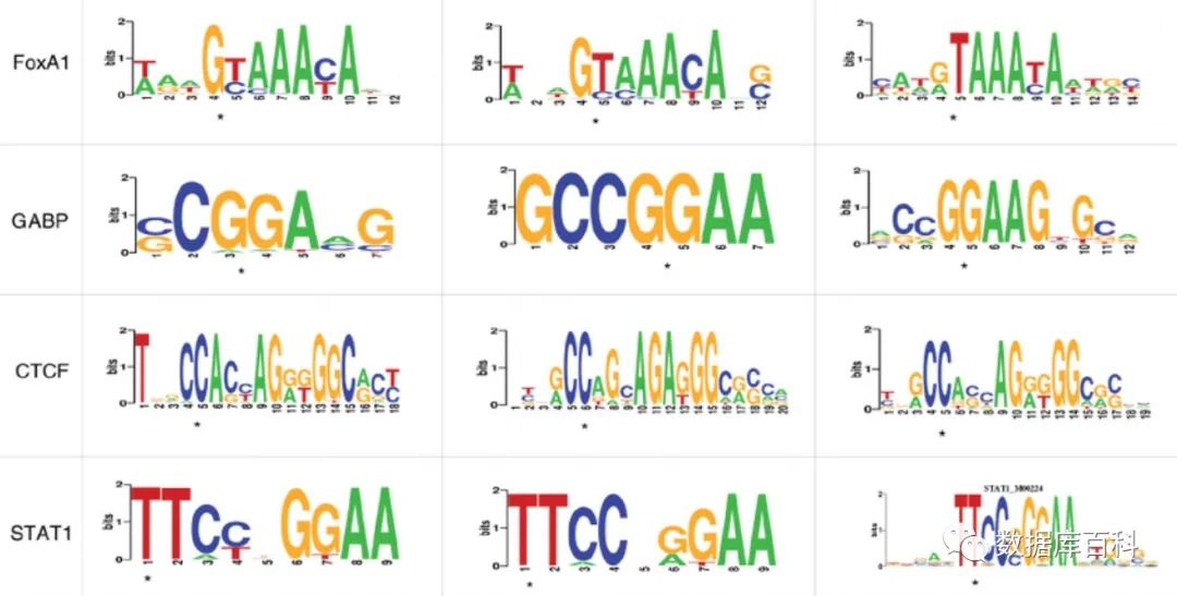 高通量测序技术怎么使用,高通量测序数据分析费用
