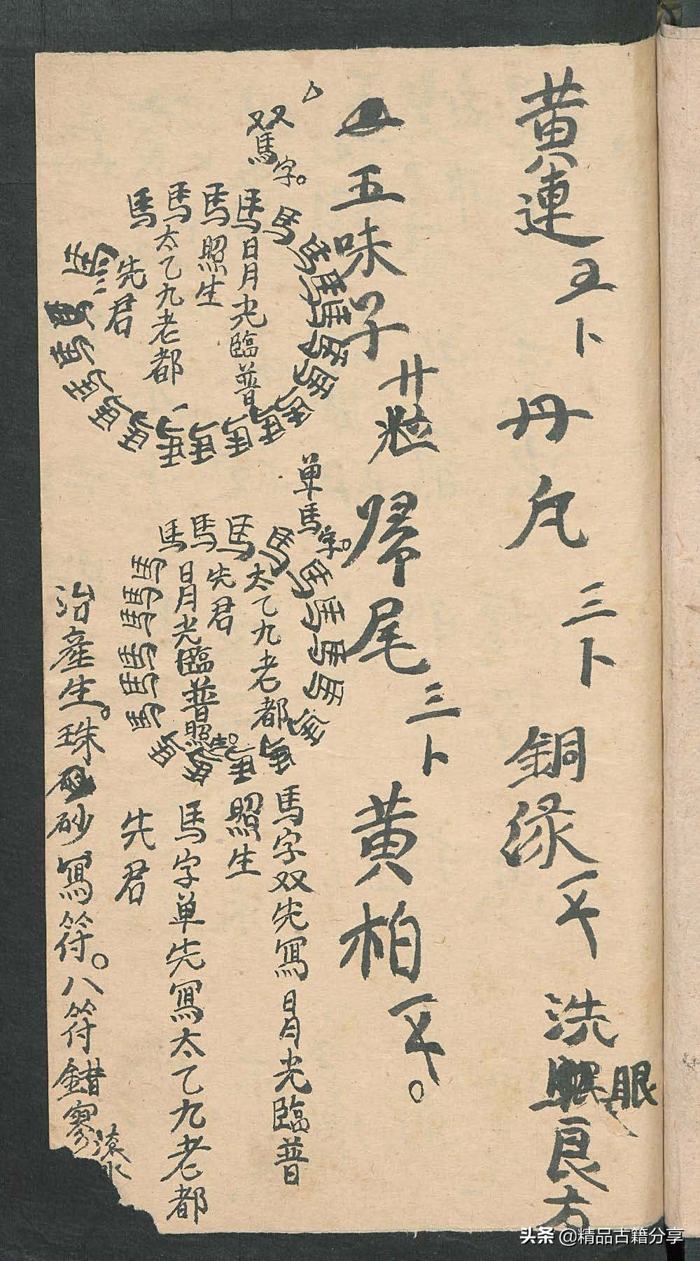 民间中医古籍书籍大全,民间看病书