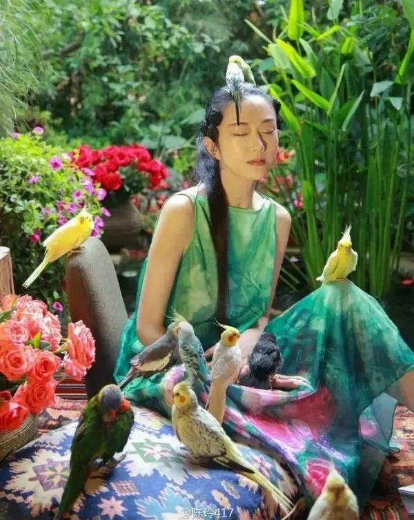 有一种向往叫西双版纳,有一种向往叫诗和远方完整版