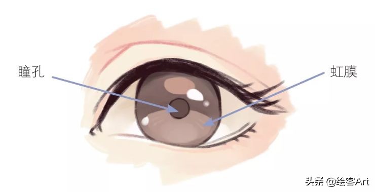 萌值爆表的Q版人物脑袋画法全解析，你确定不来pick一下？