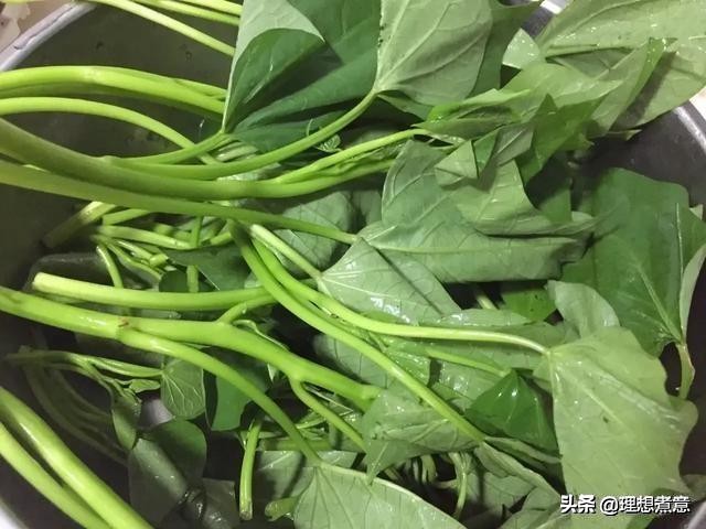 怎样才能吃到新鲜又营养的蔬菜?储存、清洗和烹调是有讲究的