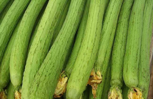 12个菜农不对外说的买菜窍门，新鲜水嫩，菜贩子：一看就是行家