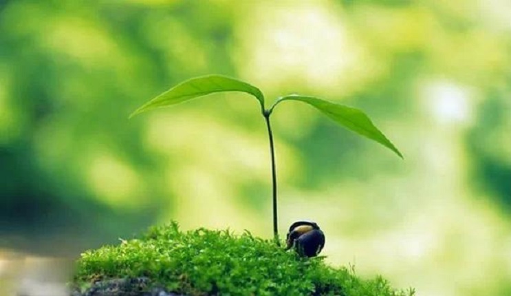 失恋的时候是怎么走出来的,失恋的时候心酸怎么熬过去