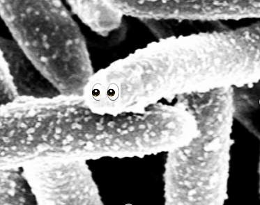 秸秆如何制成生物质燃料,玉米秸秆制作生物燃料