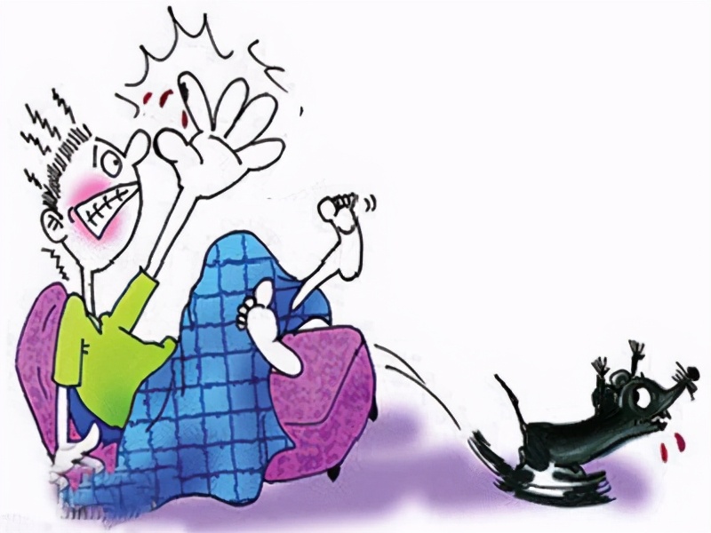 肾综合征出血热防治知识