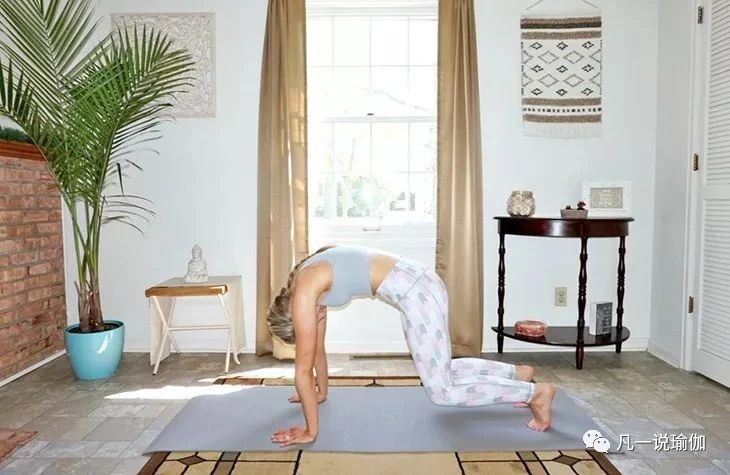 想学倒立，又不知道从哪下手练习？5个基础动作，坚持一个月试试