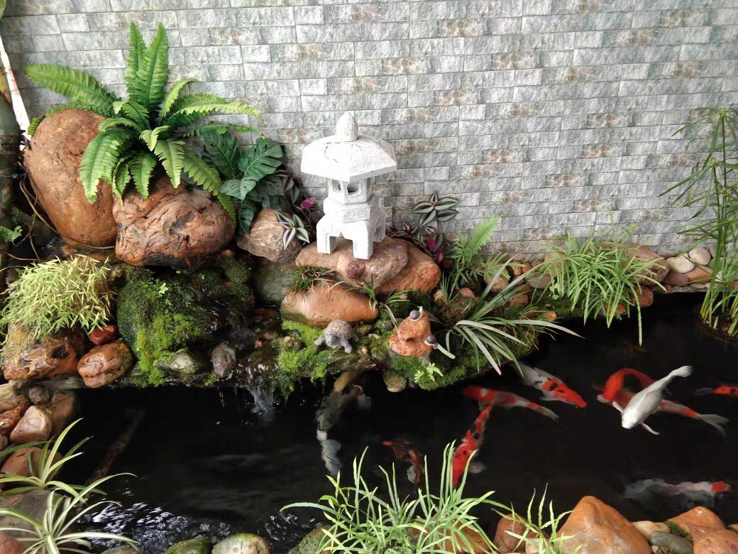 1米5深自建鱼池教程,自建鱼池的水怎么样才能清澈