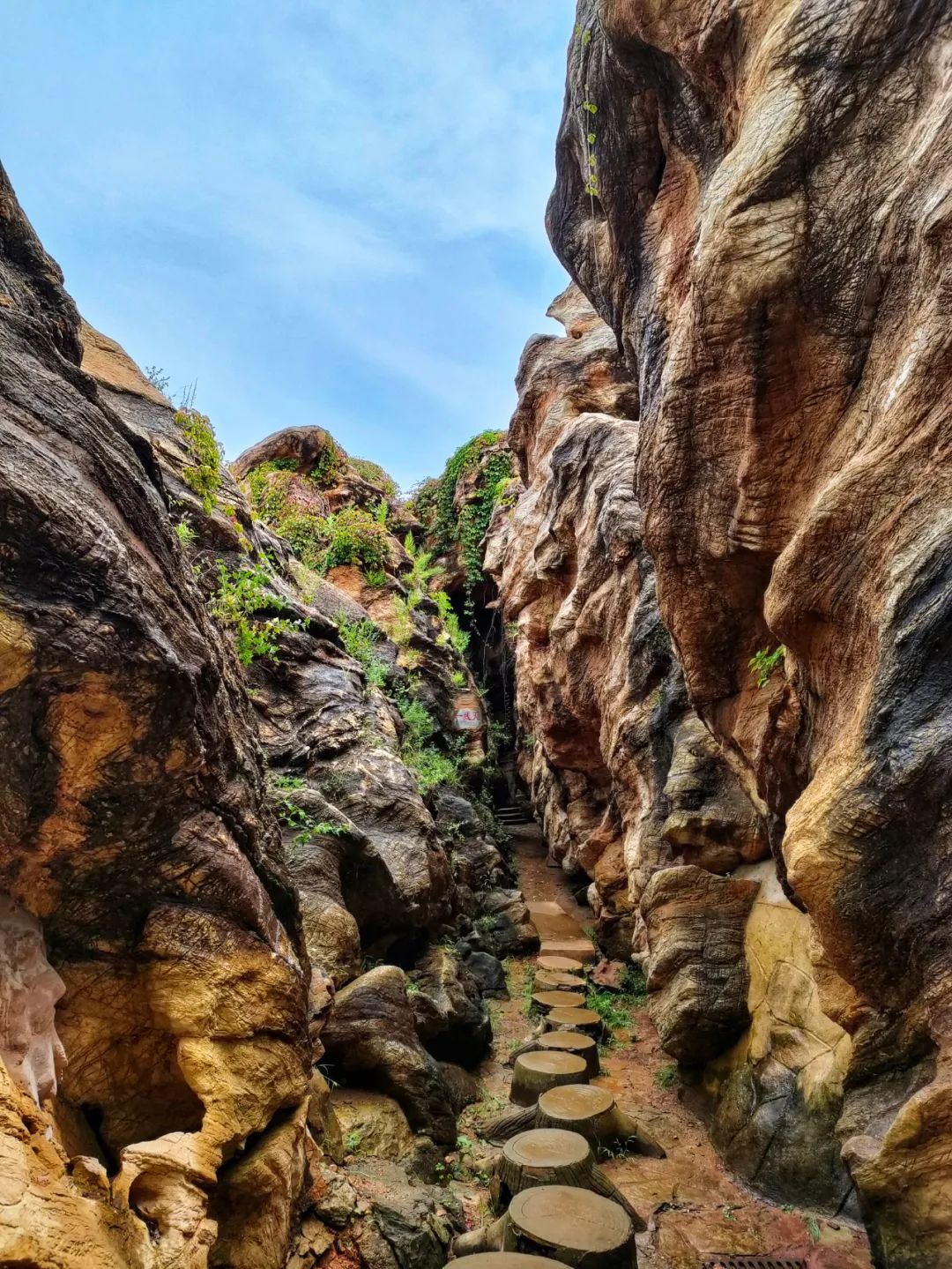 大连金石园奇石名称,大连市金石园