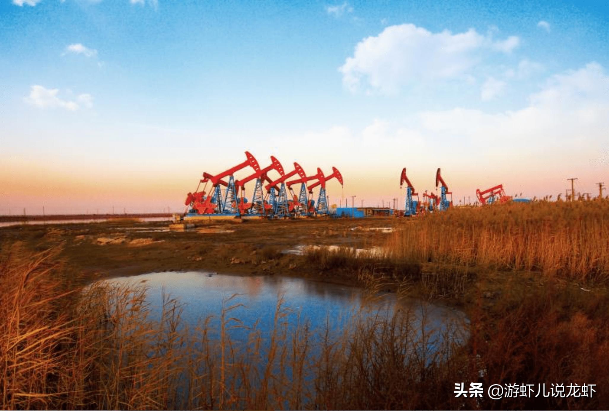 五七小李子油焖大虾汉阳店怎么样,潜江小李子油焖大虾南浦店