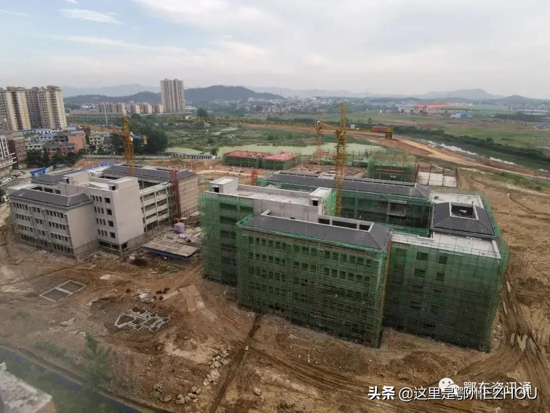 鄂州九年制大学,鄂州临空经济区九年一贯制学校