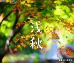 浅秋，静默，心似水