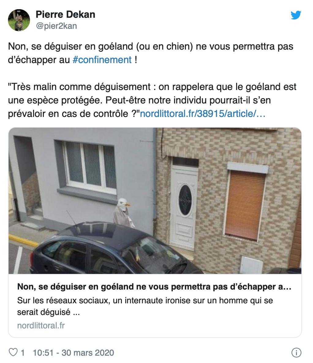 国外疫情封城禁足，想出门想疯了的人们脑洞大开！