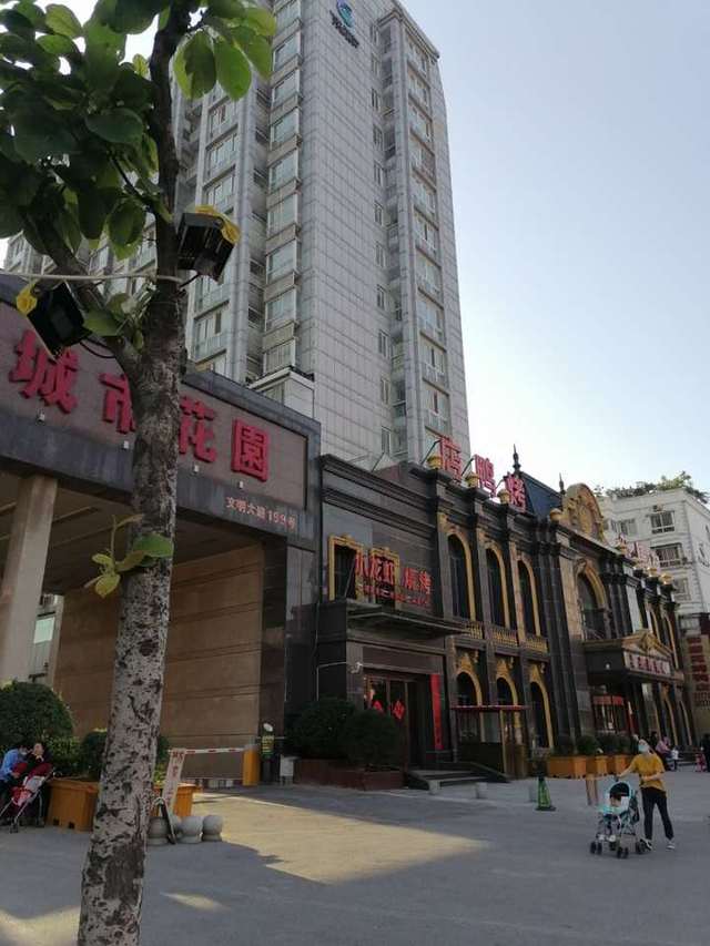 法院公示：驻马店豪车、住宅集体拍卖！雷克萨斯、众泰