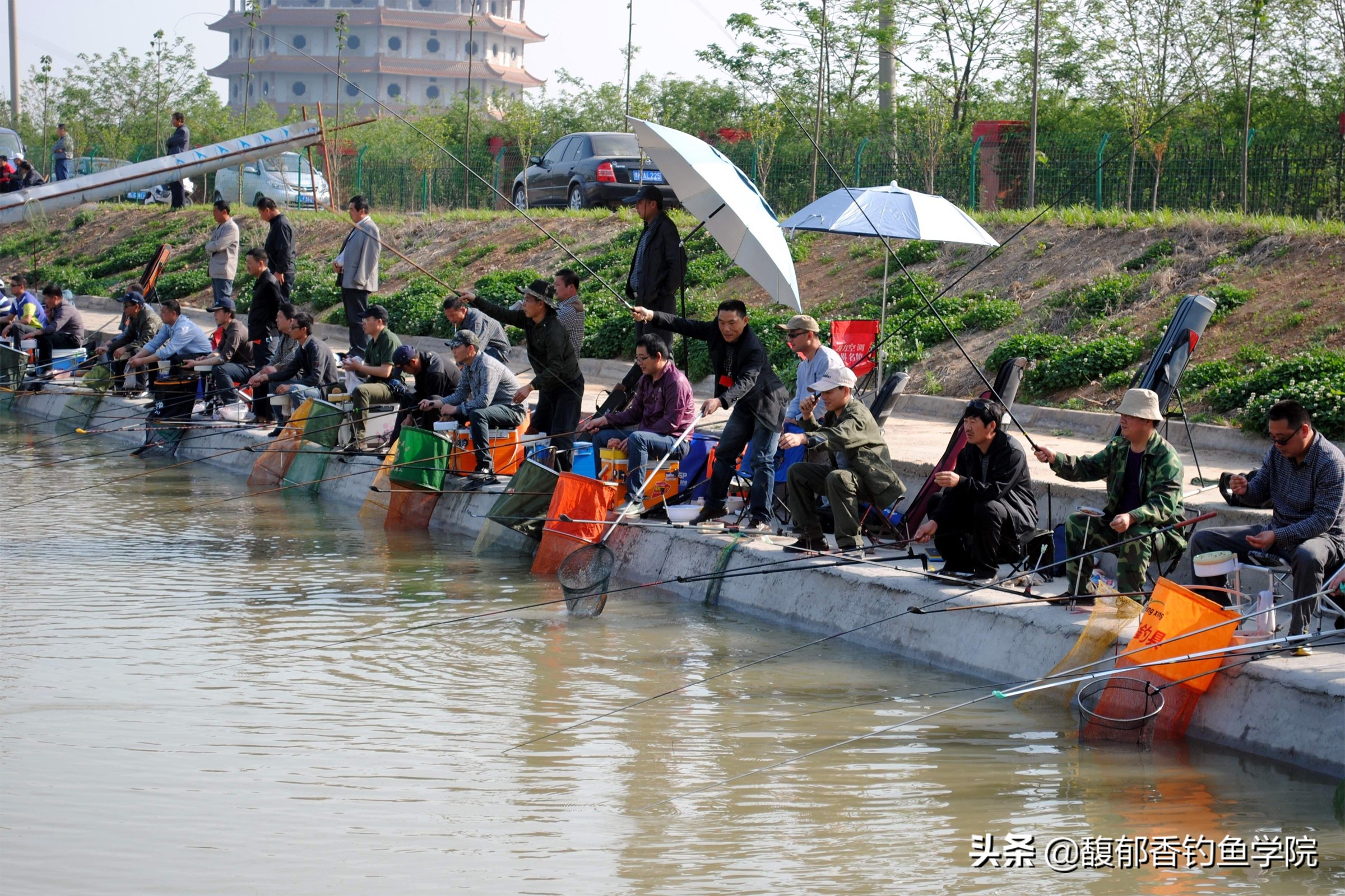 垂钓园如何经营和盈利的,开一个2亩垂钓园一般投资多少钱