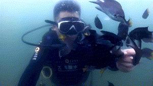 外伶仃岛一天的攻略,外伶仃岛适合玩一天还是两天