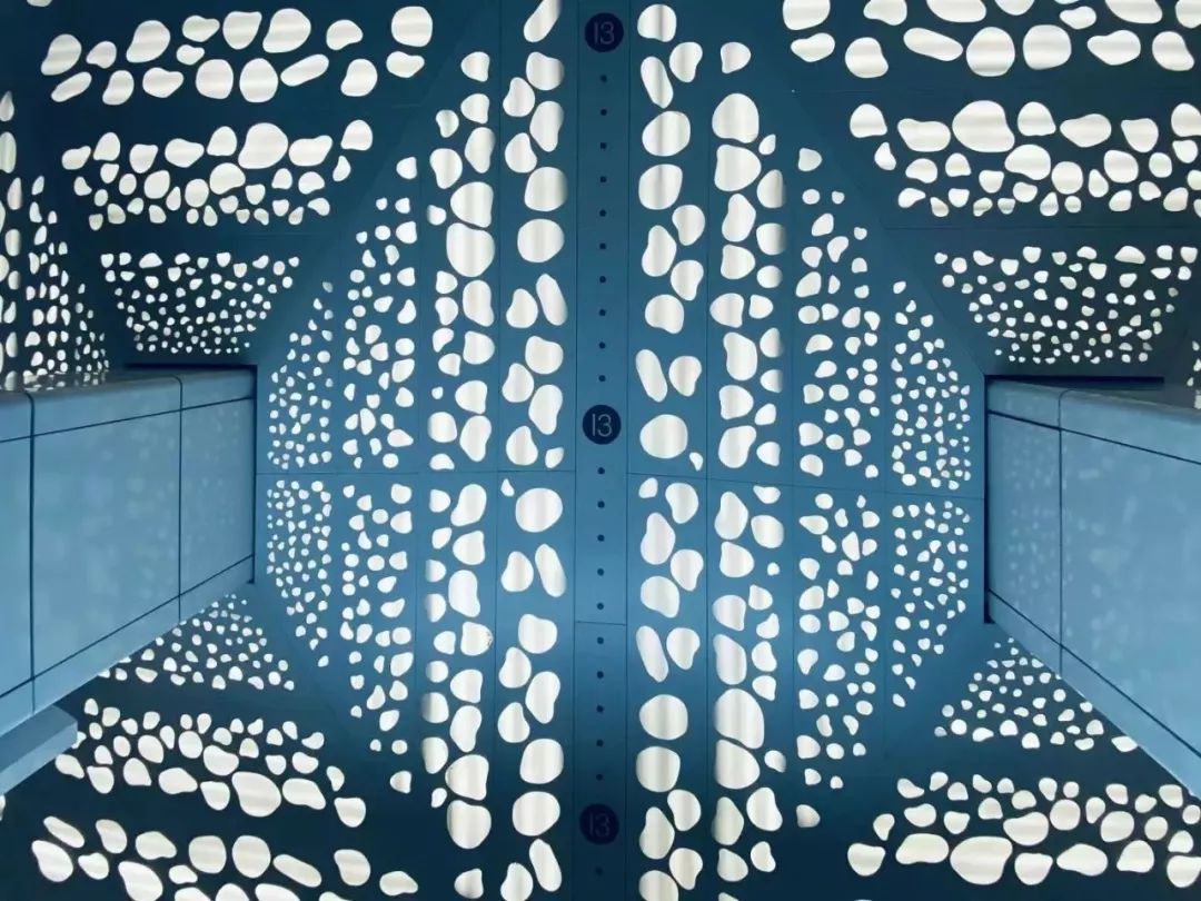 点赞他们的高光时刻,大家用手机拍出过什么好看的照片