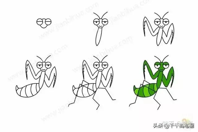 小动物的简笔画怎么画最简单的,画小动物的简笔画教程视频