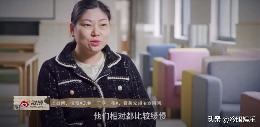 小动物永远都幸福,小动物长得最美也最可爱