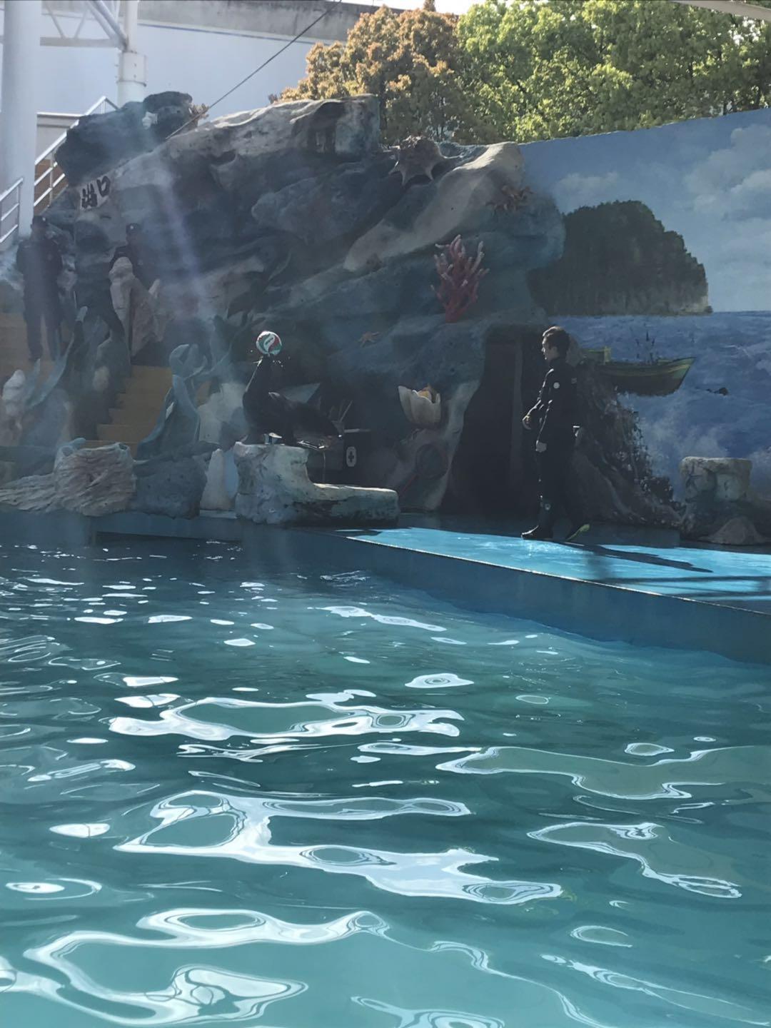 上海野生动物园太阳广场节目安排,上海野生动物园建议游玩时间