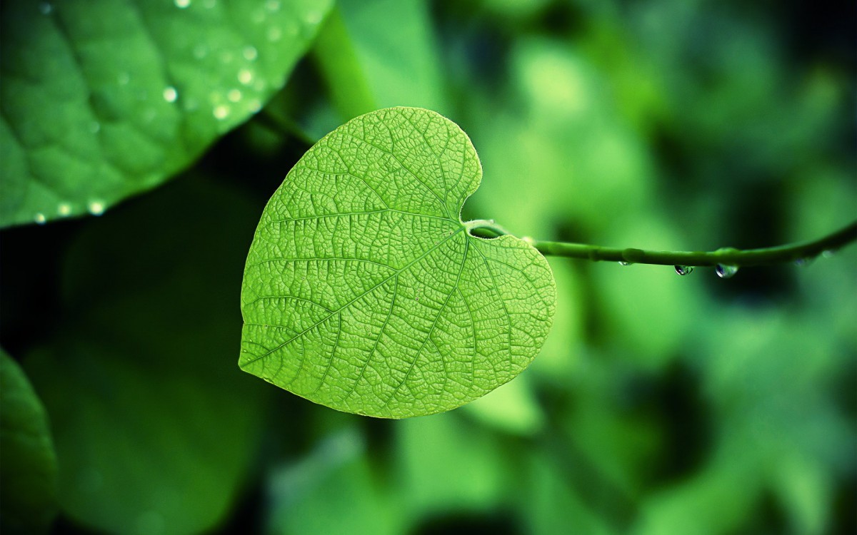 贴吧如何顶帖,贴吧引流发帖顶贴技巧