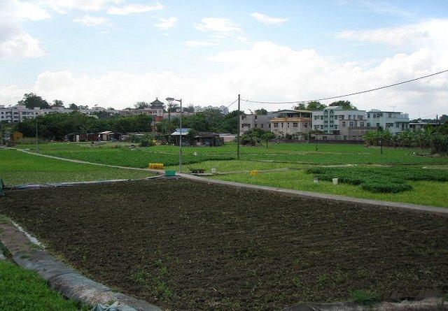 大陆人到香港工作洗碗工靠谱吗,在香港做洗碗工一个月能赚多少钱