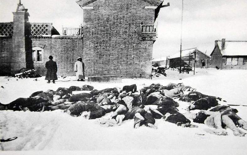 鼠疫为何为传染病之首,鼠疫的现实意义