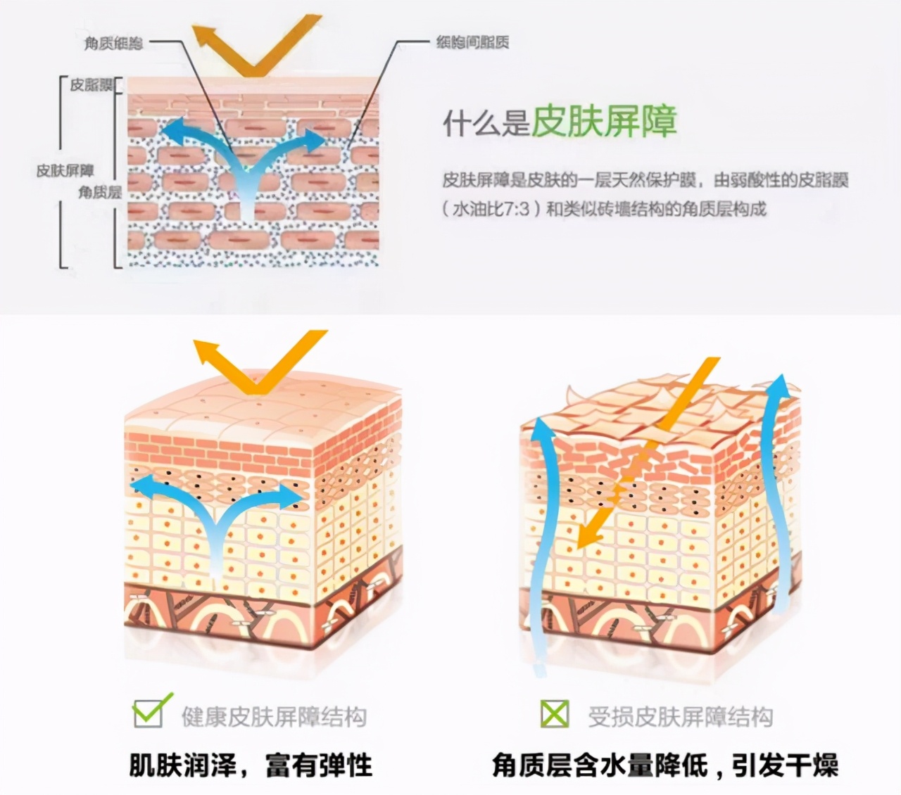 谣言粉碎机有哪些功能,谣言粉碎机排毒
