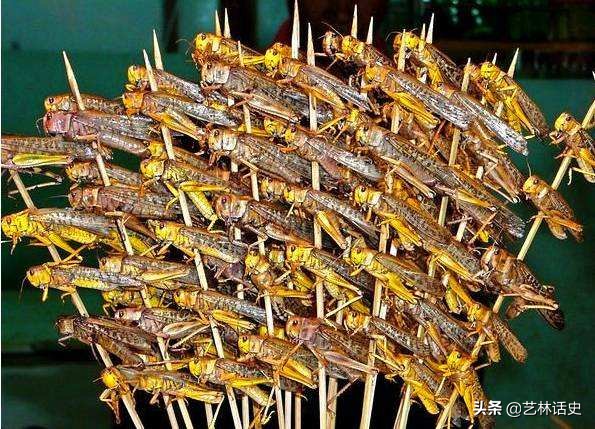 最常引起蝗灾的蝗虫,最严重的蝗虫虫灾