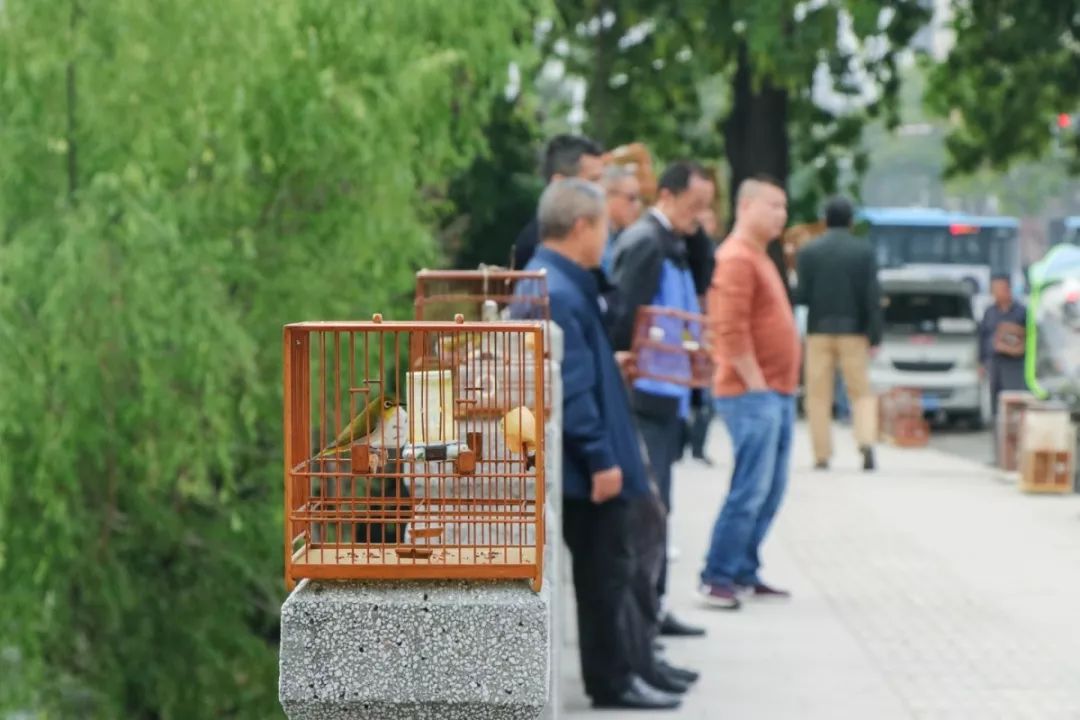 长长长长长白街，串起秦淮白下的爱恨情仇