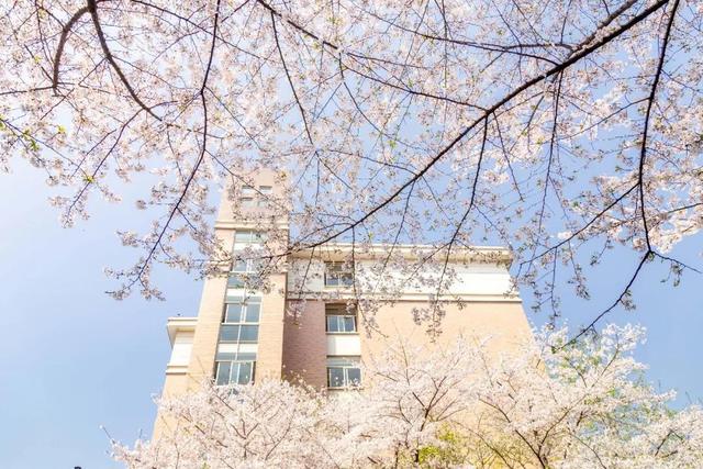 疫情期间如何出游,疫情期间怎样出去自驾游