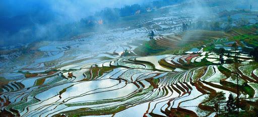 西双版纳风景之旅自由行旅游攻略,邂逅雨林西双版纳秘境之旅