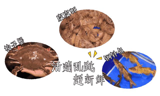 葱油梭子蟹舟山,舟山葱油海鲜