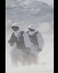 给韩国军队寄物资,为韩国军人送物资