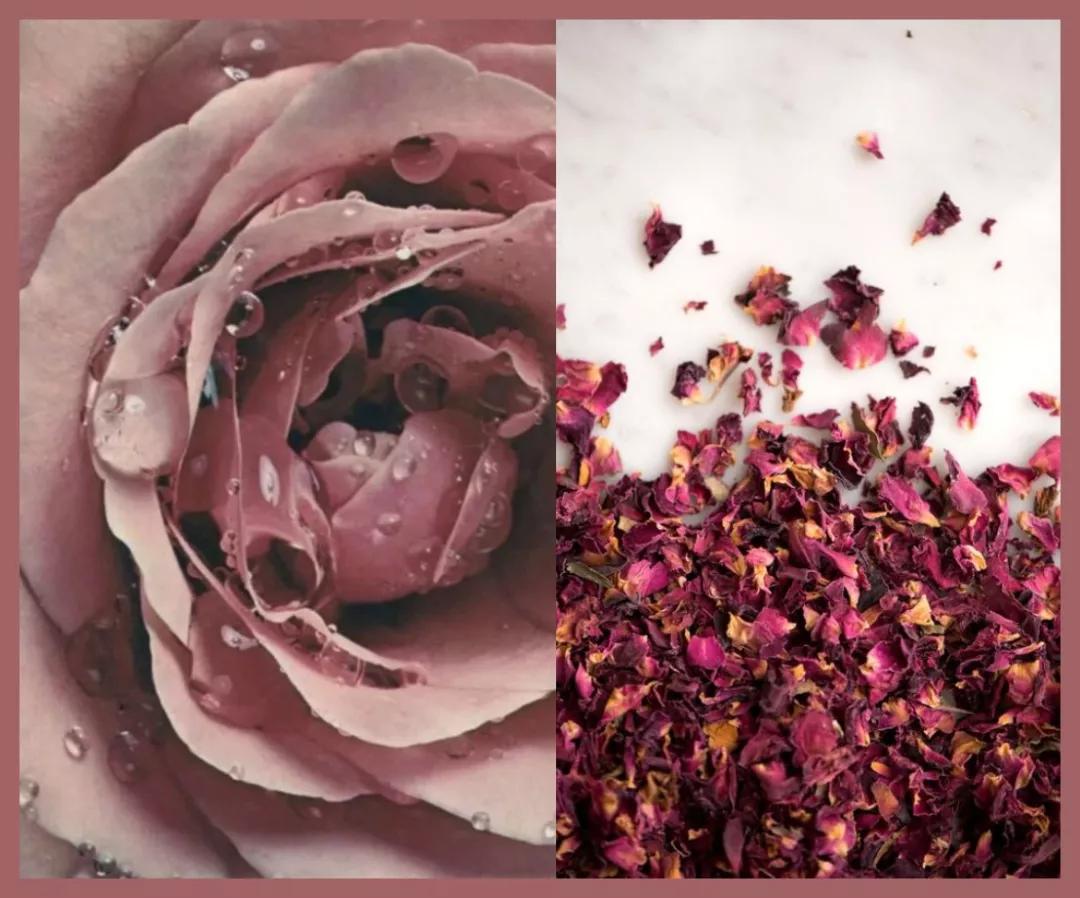 秋冬口红色号卡姿兰,透真口红推荐色号