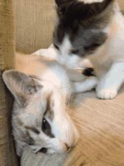 职场是个技术活分手,分手也是一种解脱