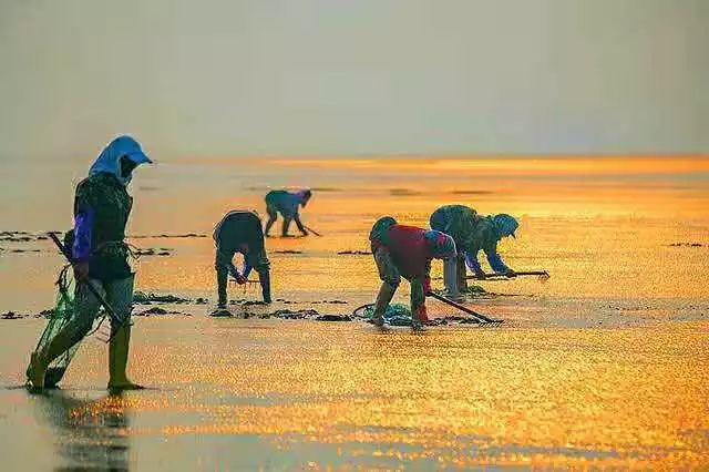 【读历史游盘锦】几许渔人飞短舟,尽载灯火归村路渤海金滩蛤蜊岗