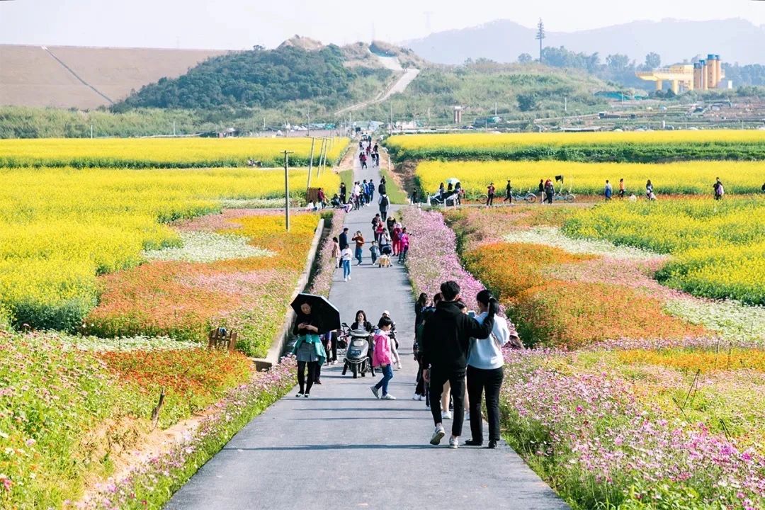 深圳周末带孩子免费游玩好去处,2021深圳免费适合遛娃玩地方排名