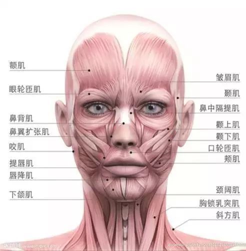 抗皱纹抗老小妙招,30岁后的面部抗老思路