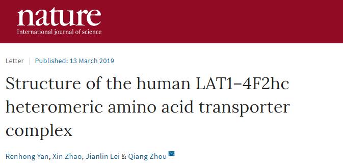 中国冷冻电镜技术进展,冷冻电镜最新研究